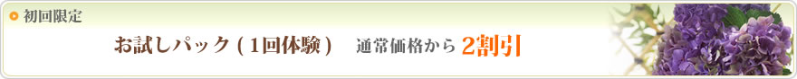 初回限定 お試しパック(１回体験) 通常価格から2割引